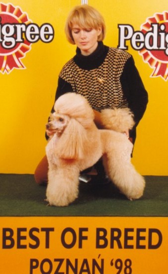 Wystawa Midzynarodowa w Poznaniu-1998 r.(CWC,CACIB,BOB)