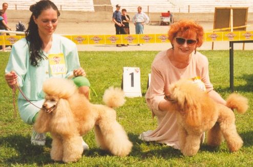Wystawa w Lesznie-ja z Big w towarzystwie hodowczyni p.Aliny Hajdasz