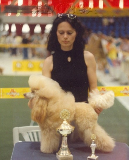 Wystawa Midzynarodowa w Opolu(CWC,CACIB,BOB)