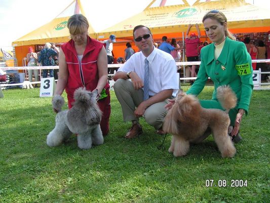 Midzynarodowa wystawa na Litwie -Troki 2004. Enola uzyskaa CACIB 